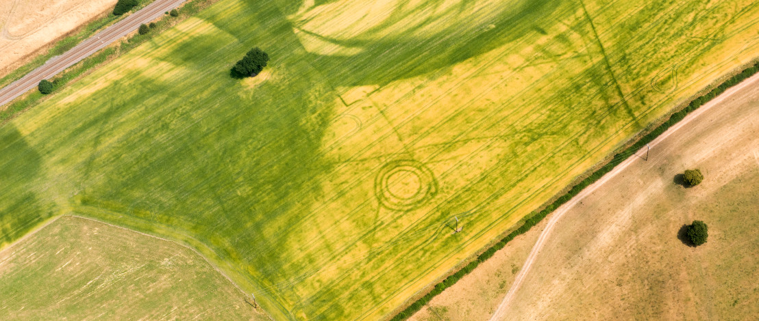 Cropmarks southwest of Scropton