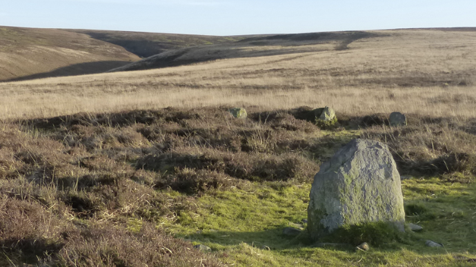 Exmoor's nice picture